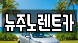 뉴주노렌트카