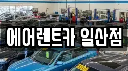 경기 고양시 일산동구 장항동 렌트카,단기렌트카,장기렌트카,중고차,중고차매매,중고차매입