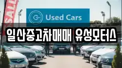 일산중고차매매 유성모터스