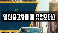 일산중고차매매 유성모터스