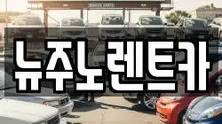 뉴주노렌트카