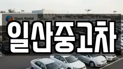 일산중고차