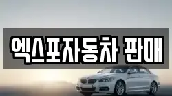 엑스포자동차 판매
