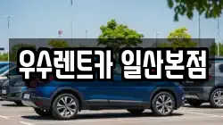 우수렌트카 일산본점