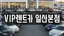 VIP렌트카 일산본점
