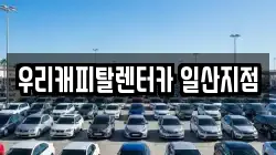 경기 고양시 일산서구 덕이동 렌트카,단기렌트카,장기렌트카,중고차,중고차매매,중고차매입