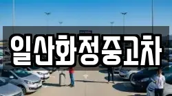 일산화정중고차