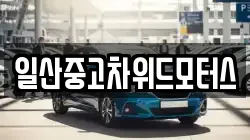 일산중고차위드모터스