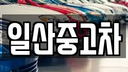 일산중고차