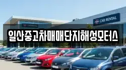 일산중고차매매단지해성모터스