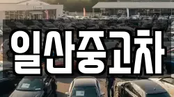 일산중고차