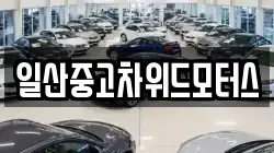 일산중고차위드모터스