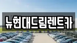 뉴현대드림렌트카