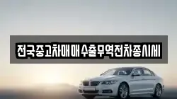 전국중고차매매수출무역전차종시세