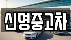 신명중고차