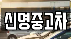 신명중고차