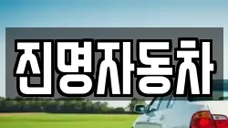 진명자동차