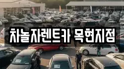 차놀자렌트카 목현지점