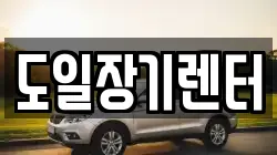 도일장기렌터