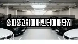 송파중고차매매센터매매단지