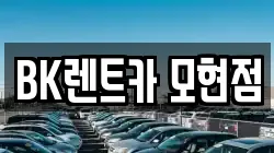 BK렌트카 모현점