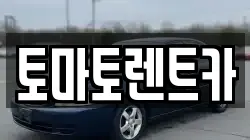 토마토렌트카