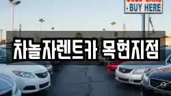 경기 광주시 목현동 렌트카,단기렌트카,장기렌트카,중고차,중고차매매,중고차매입