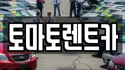 토마토렌트카