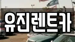 경기 광주시 초월읍 렌트카,단기렌트카,장기렌트카,중고차,중고차매매,중고차매입