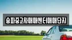 송파중고차매매센터매매단지