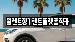 경기 광주시 퇴촌면 렌트카,단기렌트카,장기렌트카,중고차,중고차매매,중고차매입