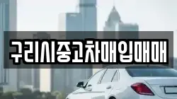구리시중고차매입매매
