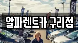 알파렌트카 구리점