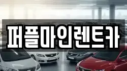 퍼플마인렌트카