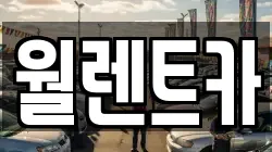 월렌트카