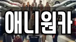 애니원카