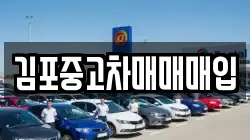 김포중고차매매매입