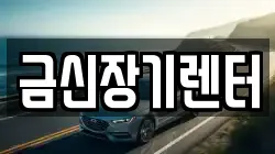 금신장기렌터