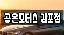 공은모터스 김포점
