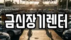 금신장기렌터