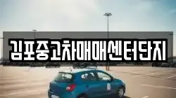 김포중고차매매센터단지