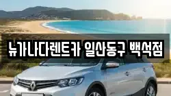 뉴가나다렌트카 일산동구 백석점