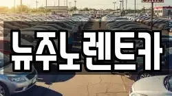 뉴주노렌트카