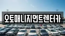 오토매니지먼트렌터카
