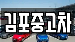 김포중고차