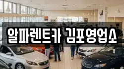 경기 김포시 구래동 렌트카,단기렌트카,장기렌트카,중고차,중고차매매,중고차매입