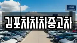 김포차차차중고차