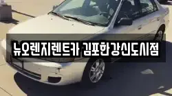 뉴오렌지렌트카 김포한강신도시점