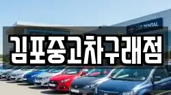 김포중고차구래점