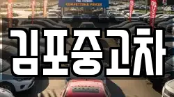 김포중고차